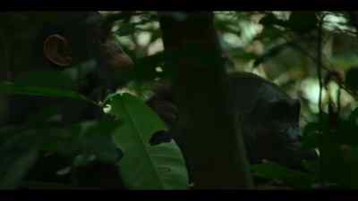 That society needs to be sustained. - Chimp Empire