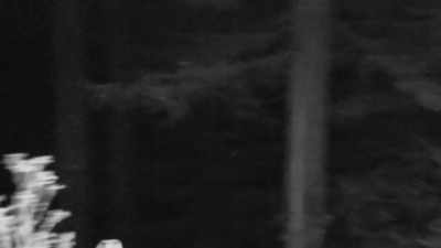 That sound seemed to be
coming from the same
general direction as my camp. - Expedition Bigfoot