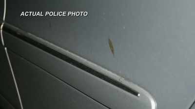 THAT SPOT WAS PROCESSED
FORENSICALLY FOR EVIDENCE. - Hometown Homicide