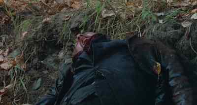 That was stupid. - The Grey Fox