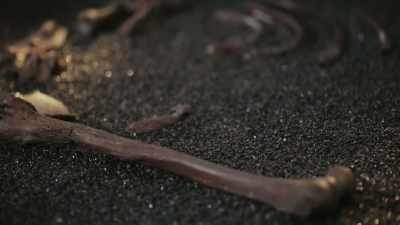 That the Oseberg ship burial
contained not one but two powerful - Raiders of the Lost Past with Janina Ramirez