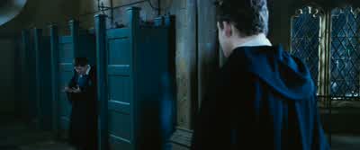 ...that the Polyjuice Potionwas only for human transformations? - Harry Potter and the Chamber of Secrets