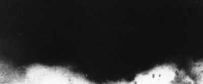 That was the smoking gun. - Misha and the Wolves
