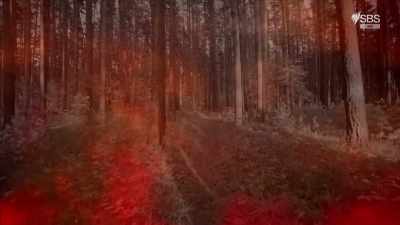 That the way forward
was to launch an ambush, - Curse of the Ancients with Alice Roberts