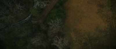 That was their words.
"It went up in the air." - The Mothman Legacy