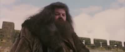 - That thing has a name?- Of course he has a name. - Harry Potter and the Philosopher's Stone