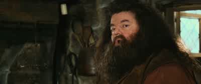 That voice.- Voice? - Harry Potter and the Chamber of Secrets