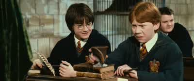 That wand needs replacing, Mr. - Harry Potter and the Chamber of Secrets