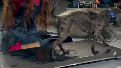 THAT WAS ALL UP IN MY FACE.
[ CHUCKLES ] - Mythbusters Jr.
