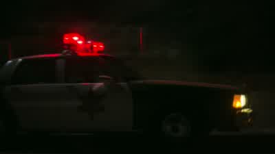 That was insane! - Bumblebee