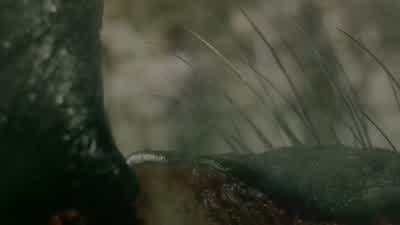 That was unexpected. - Legacies