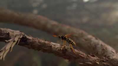 That wasp is out
hunting for food for her young. - Cosmos: Possible Worlds