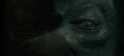 That way I could whisper directly
into their eighth cranial nerves. - Guillermo del Toro's Cabinet of Curiosities