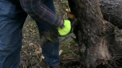 That way in the winter time,
I'll be able to just yank it - Life Below Zero: Next Generation