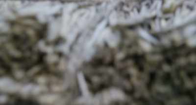 That way,
Inan got constantly being chased. - The Assassin