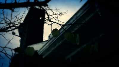 That was when they first
broke into my home. - Sins of the Amish
