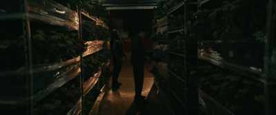 That which is yours. Remember:
Wait three and then you drive. - Darkland: The Return