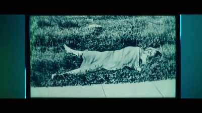 That is why sex workers call
for decriminalization - Crime Scene: The Vanishing at the Cecil Hotel