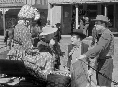 That wild goose chase of yours - The Wistful Widow of Wagon Gap