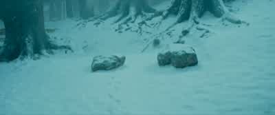 That would have been remarkable. - Harry Potter and the Prisoner of Azkaban