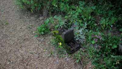 -- That is your shoe,
that's your drag shoe. - Extraordinary Escapes with Sandi Toksvig