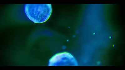 That if you're immunocompromised, - The History of Home Narrated by Nick Offerman