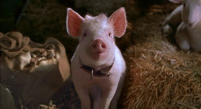 That'll do pig - Babe: Pig in the City