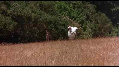 That's a big chicken. - Sleeper