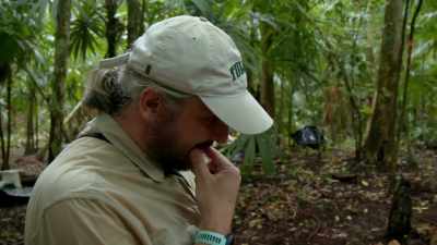 That's a big stone,
that's a very large stone. - Lost Treasures of the Maya