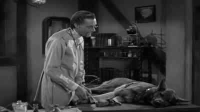That's a boy. - The Invisible Man's Revenge