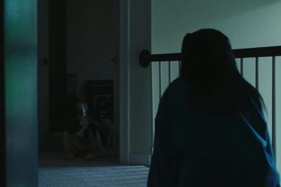 That's a good boy. - Swarm