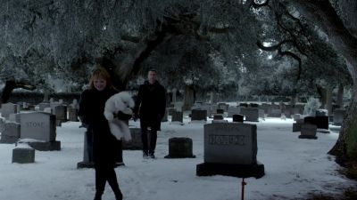 That's a good boy. - Ray Donovan