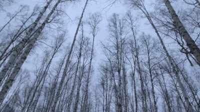 That's a good spot. - Life Below Zero: Next Generation