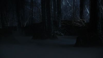 That's a Kryptonian demon.
I've seen them before. - Supergirl