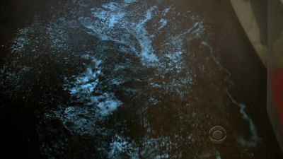That's a lot of blood. - CSI: Crime Scene Investigation