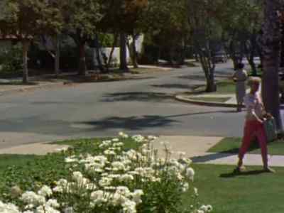 That's a manhunter? - Gidget
