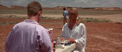 That's a novel idea - The Adventures of Priscilla, Queen of the Desert