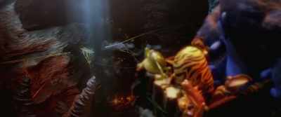 -That's a problem.
-We won't be able to avoid - The Jungle Bunch