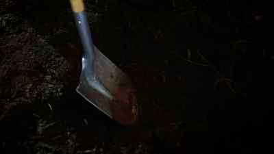 That's either a septic tank
or a miracle. - Will Trent