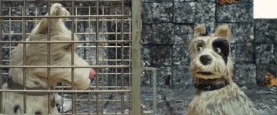 That's a tough break. - Isle of Dogs