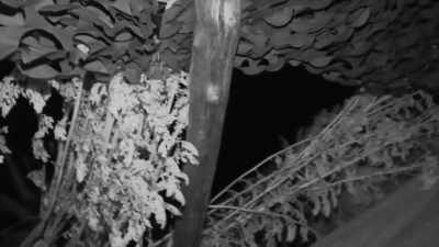 That's above us.
That's right above us. - Expedition Bigfoot