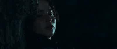 That's actually a good impression - The Hunger Games