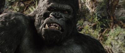 That's all there is.
There isn't any more. - King Kong