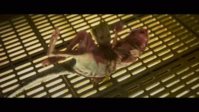 That's an orloni. - Guardians of the Galaxy Vol  2