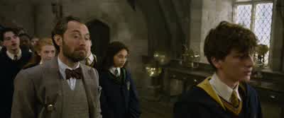 That's an unusual one. - Fantastic Beasts: The Crimes of Grindelwald