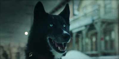 That's Balto. Champion savior of Nome. - Togo