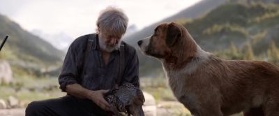 That's beautiful, Buck. - The Call of the Wild