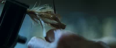 That's beautiful. - The Hunger Games: Catching Fire