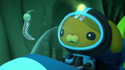 That's because we only live
right here in this cave. - Octonauts and the Caves of Sac Actun