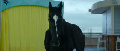 That's Blackjack. - Percy Jackson and the Olympians